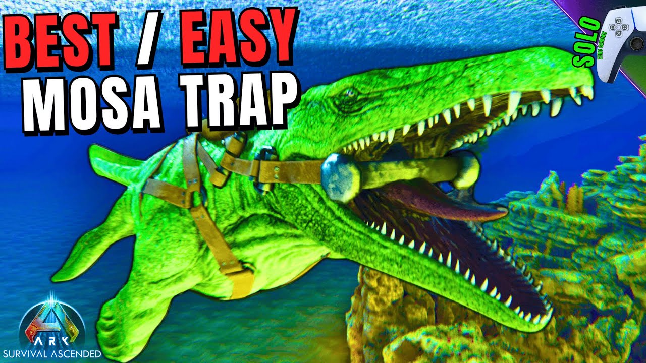 Best and Easiest Mosa Trap?