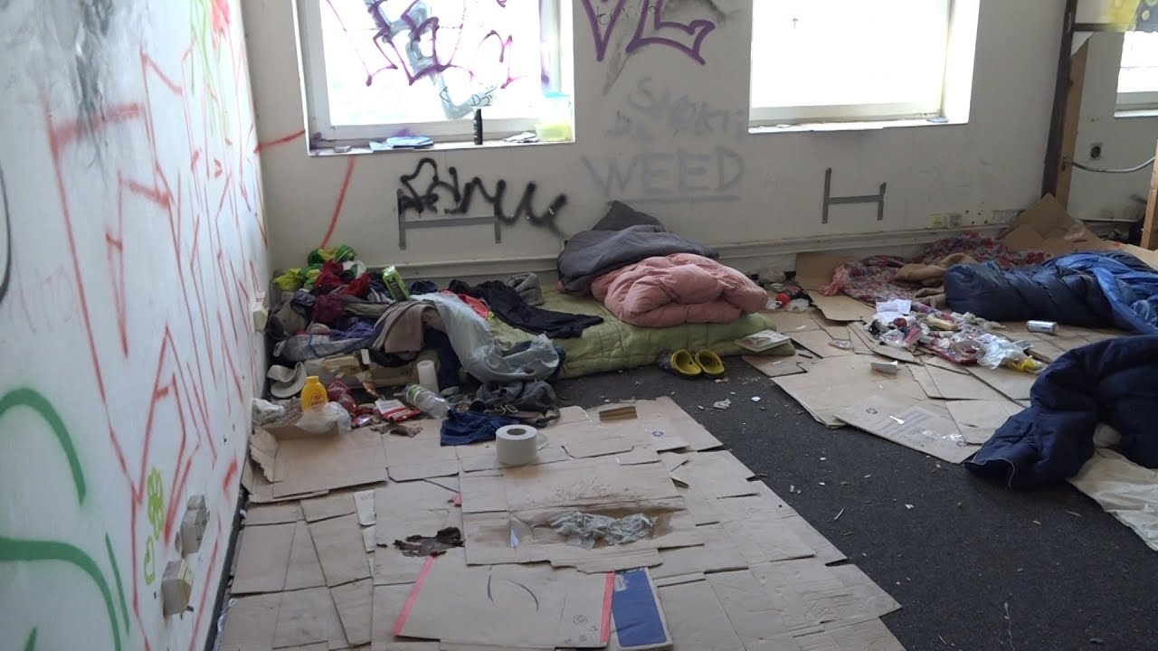 Squat holubí dům v Hradci Králové