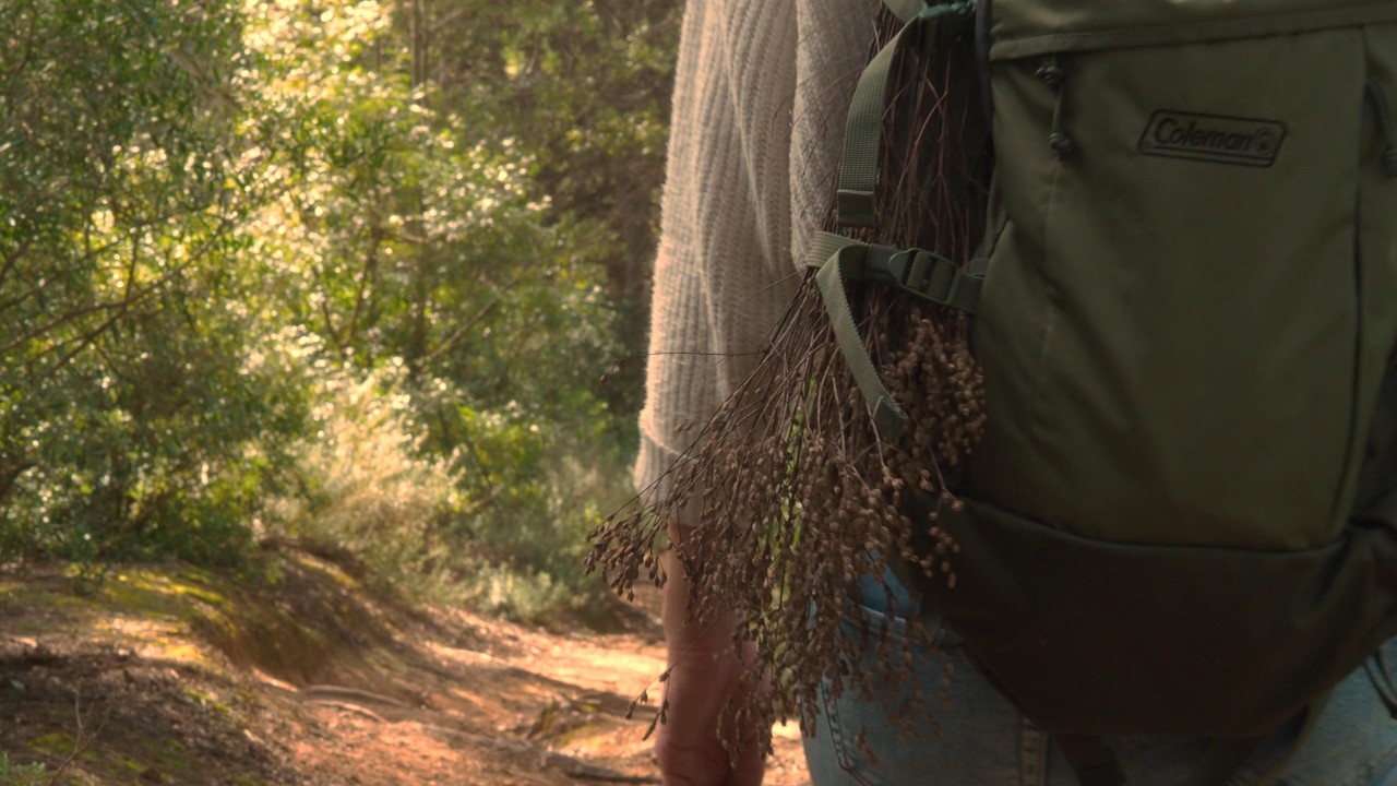 Зимнее солнце и сухие цветы в лесу / Переделка холодильника / Жизнь у подножия гор