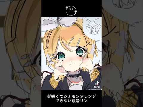 髪の長さが足りなくてシナモンアレンジできない鏡音リンがかわいい。