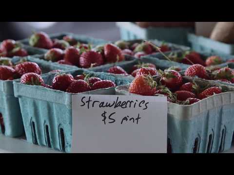 2017-community-health-champion:-local-food-focus-for-one-kansas-community