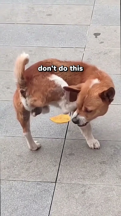 Use this sound 💀‼️