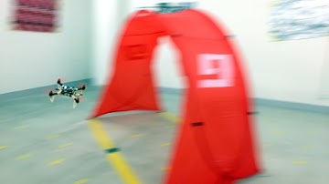 Deep Drone Racing: Learning Agile Flight in Dynamic Environments