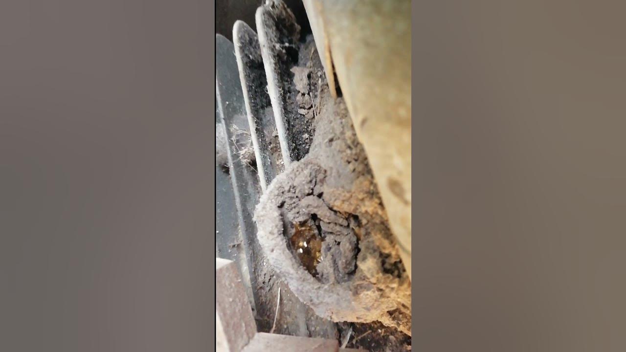 Repair small engine l restore lawn mower YouTube