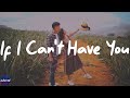 Shawn Mendes - If I Can&#39;t Have You (Lyrics)