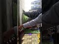 Wood Vinegar with a twist