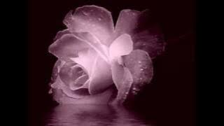 Kitaro  - Theme From Silk Road