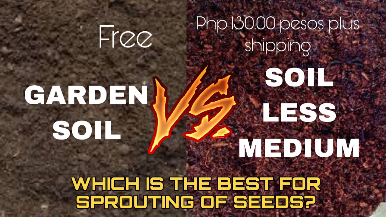 Do Not Use Soil Less Medium in Sprouting of Seeds Instead use this ...