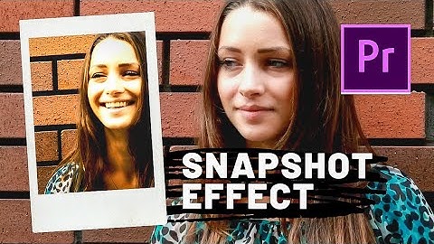 Create CAMERA SNAPSHOT EFFECT In Middle Of The Video | Premiere Pro Tutorial
