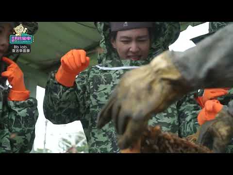 「指定食材」超驚悚 炎亞綸形象盡失全程少女尖叫！？ ｜BbLAB復活草面膜 @tvbsletsopen