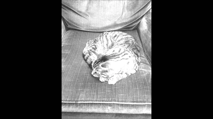 Joan Lawson voicemail audio rips