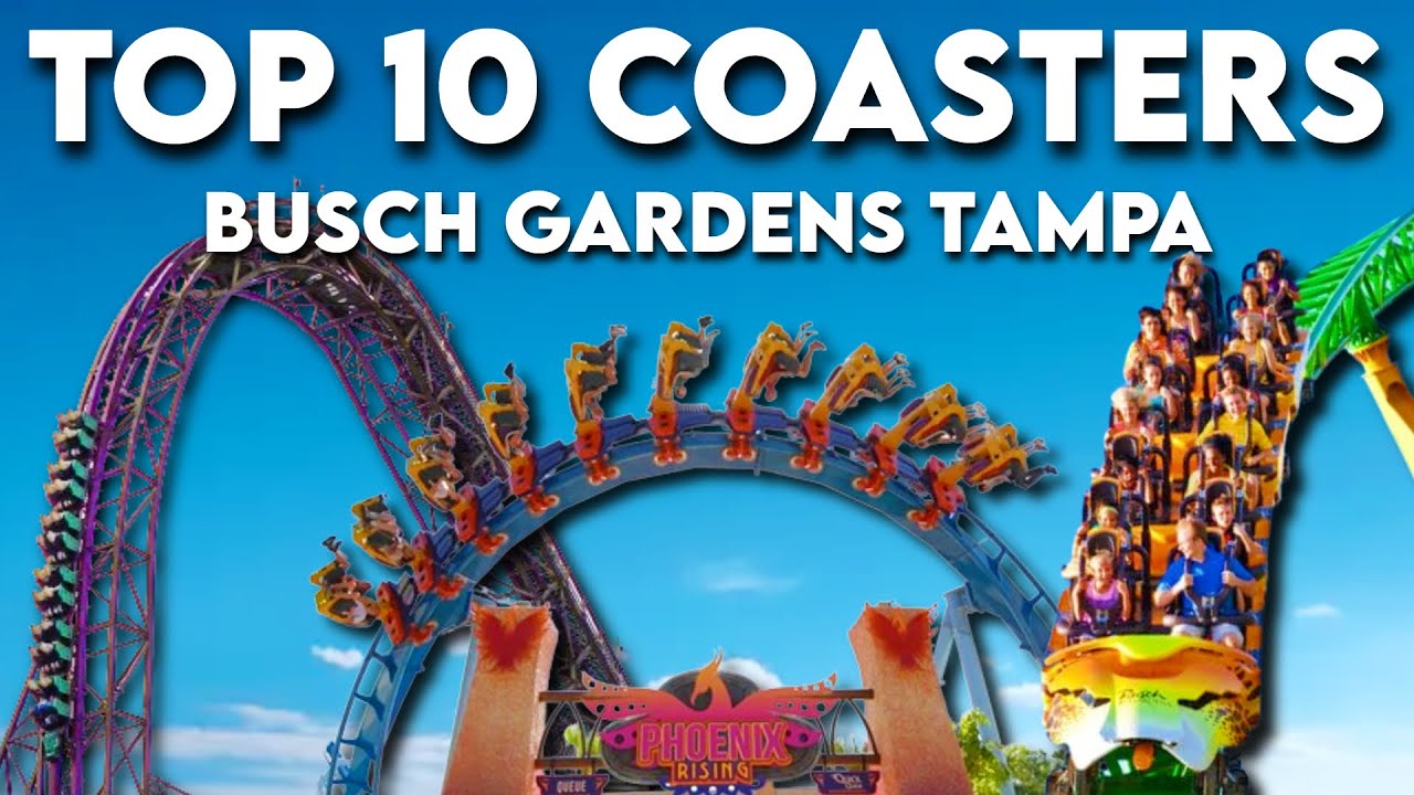 10 лучших американских горок в Busch Gardens Tampa Bay (2024)