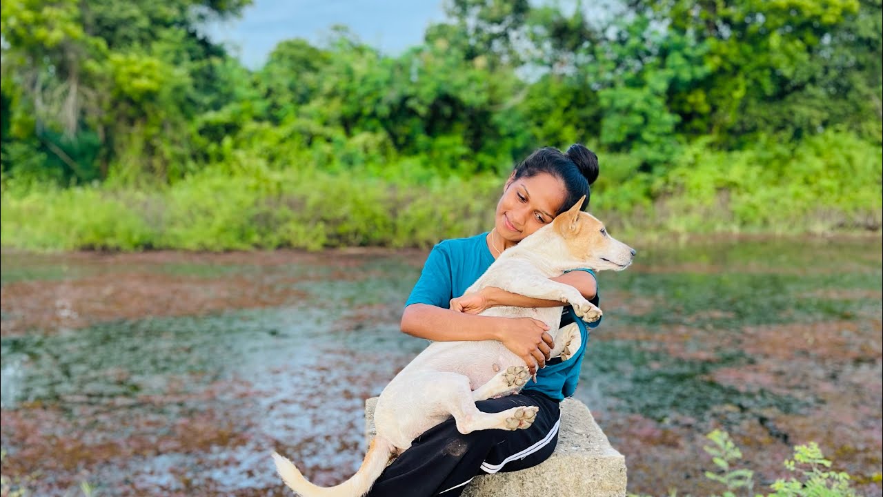 අවුරුද්දෙ අවසාන සහ අලුත් phone එකෙන් කරපු පළවෙනි vlog එක ❤️😍#viral#dayvlog# 