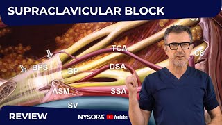 Supraclavicular Block: WHY, HOW, WHERE, AND WHAT’S NEW by NYSORA - Education 45,026 views 7 months ago 7 minutes, 46 seconds