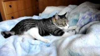 2011121602.AVI