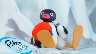 Pingu Gets Lost 🐧 | Pingu - Official Channel | Cartoons For Kids
