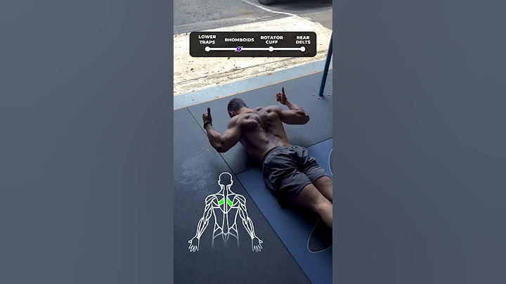 ✅ 4 Shoulder Stability Exercises!