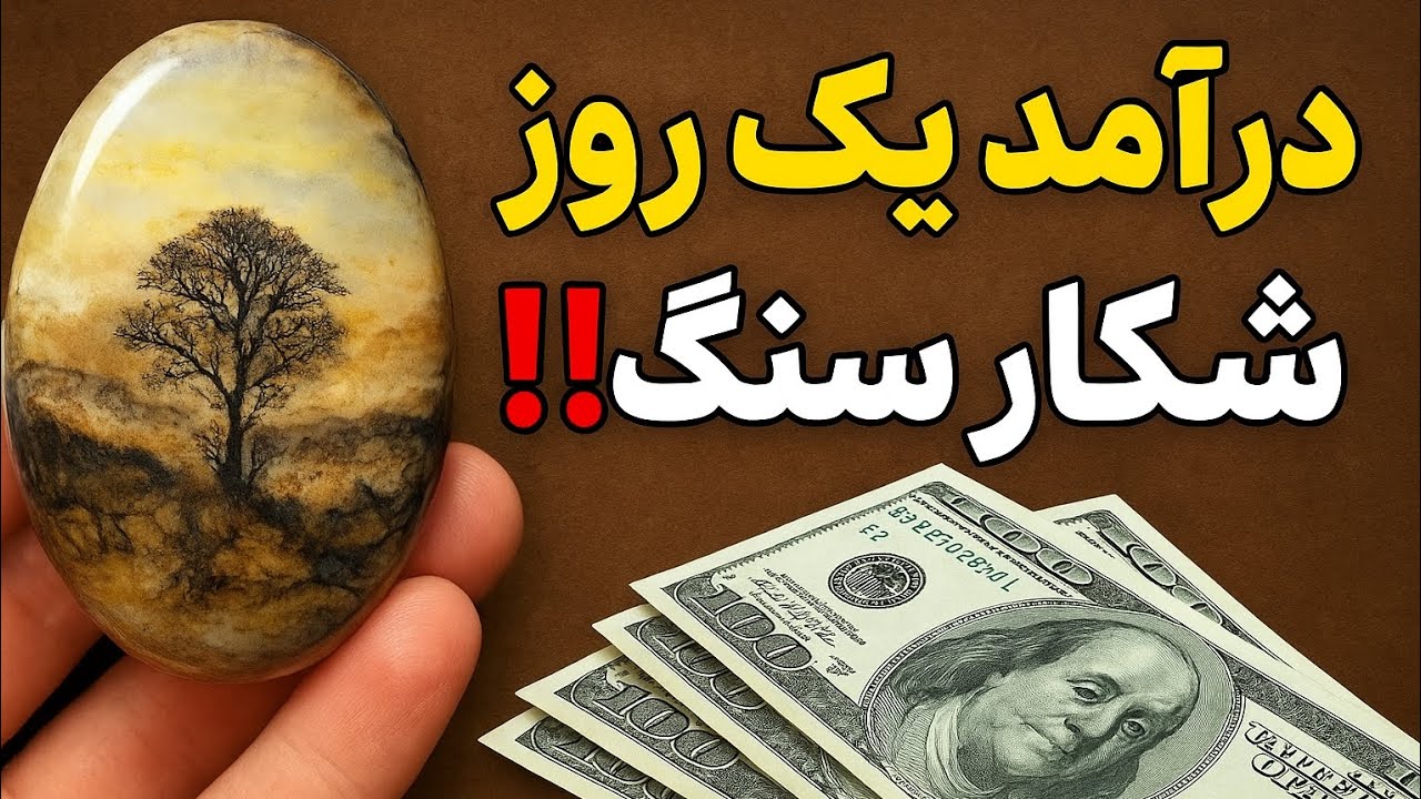 باورم نمیشه این سنگ شجر اینقدر ارزش داشت! درآمد یک روز شکارسنگ