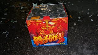 Long D*** G*** 16 Shot Firework 🐉🧧