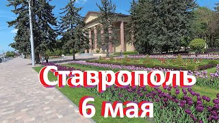 Ставрополь город лесов и тюльпанов. Большая прогулка по центру города.