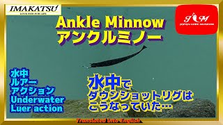 【水中動画】【Ankle Minnow】オモリが着底してからの動き・時間をしっかりイメージ！！　イマカツ　アンクルミノー　あんくるみのー screenshot 5