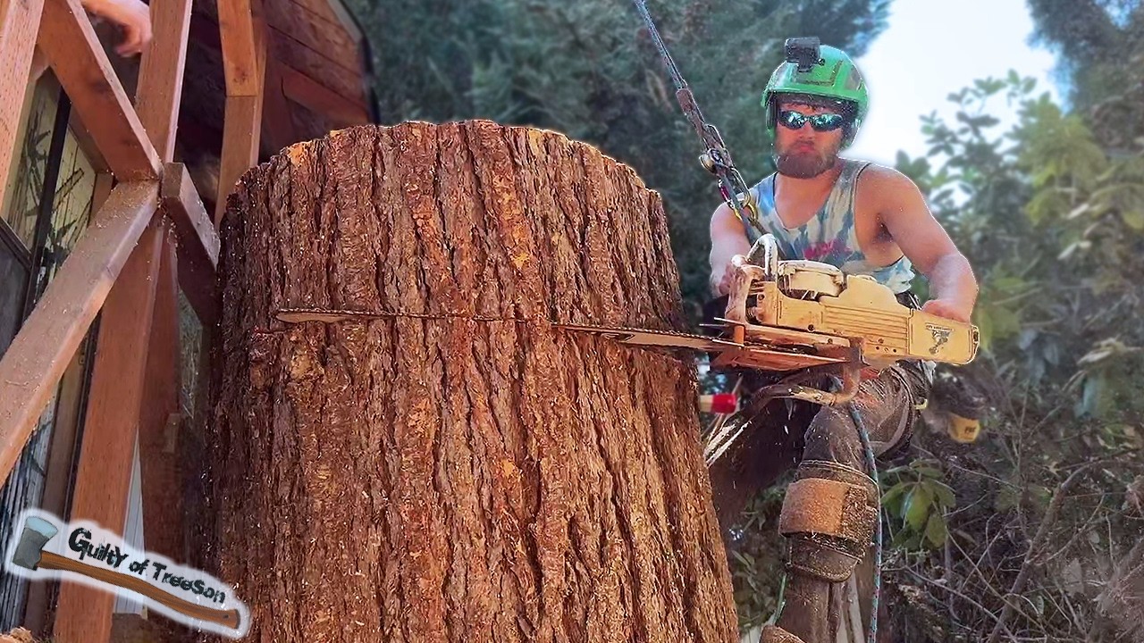 The BACKYARD BEAST! This TRICKY tree was hard to finish! - Part 2