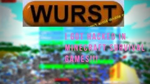 I FOUND A INSANE HACKER IN MINECRAFT HUNGER GAMES