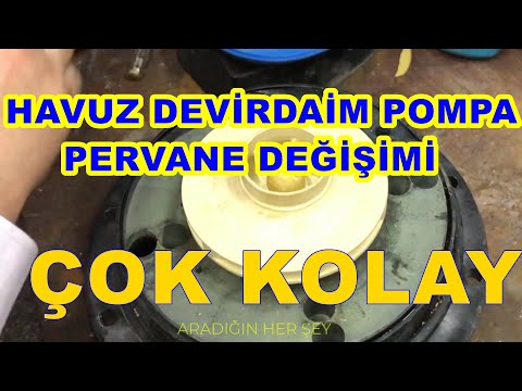 Video: Havuz Pompası: Su Için ısı Ve Drenaj Pompaları, Onarımı Ve Montajı, Kripsol Ve Diğer Markalar. Havuz Nerede?