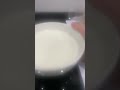 yogurt is not invincible
