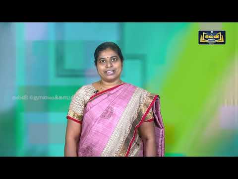 12th Std KALVI TV Video - மனையியல் |  சிகிச்சை உணவுகள் | அலகு 1