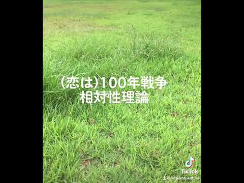 (恋は)100年戦争