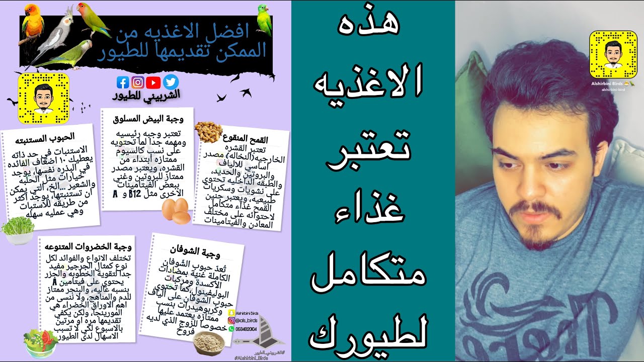 افضل وجبات للطيور (لافضل صحه ونمو وتقوي الانتاج لديهم)