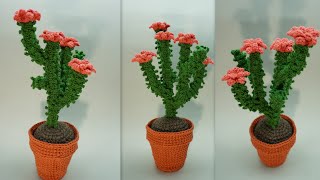 CACTUS CON BRAZOS REALIZADO CON GANCHILLO