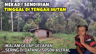 Nekad ! Sendirian Tinggal Di Tengah Hutan ! Malam Gelap Gelapan Sering Di Datangi Sosok Astral.