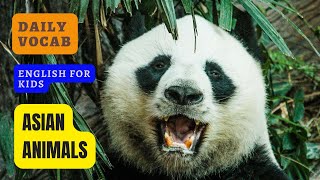 MEET THE ANIMALS | ASIAN ANIMALS | ANIMALS FOR KIDS | EDUCATIONAL VIDEO | WILDLIFE