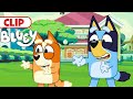 Bluey Season 3 Episode 9 "Magic" Episode Clip | @disneyjunior  | @BlueyOfficialChannel