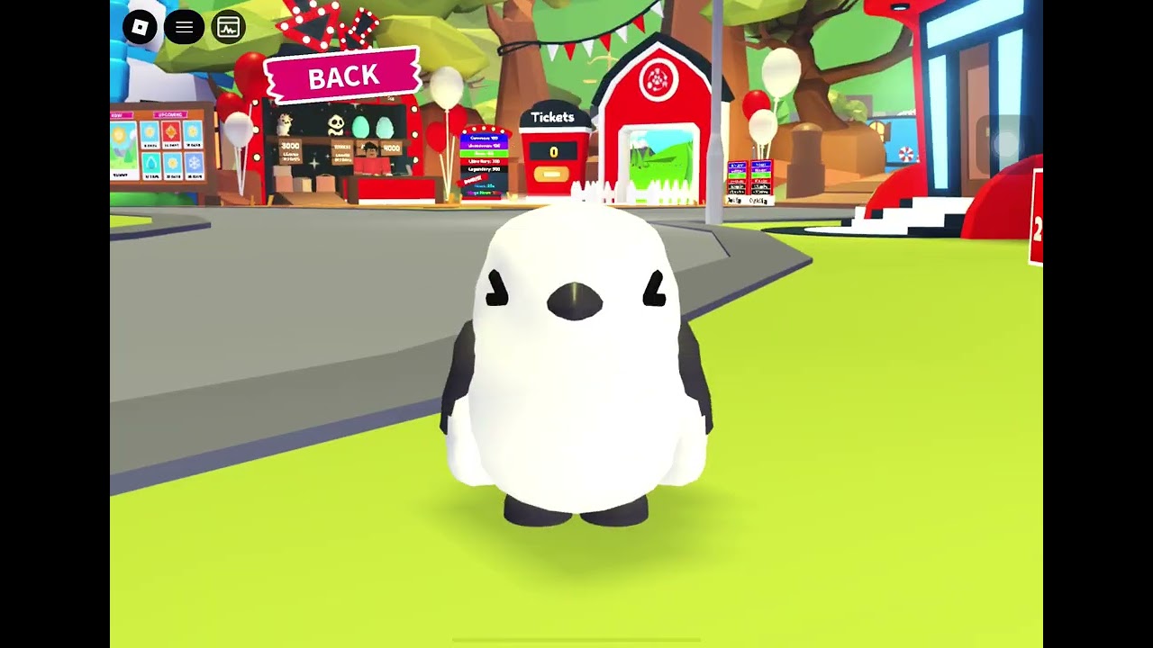 Pls tell me what to do next 