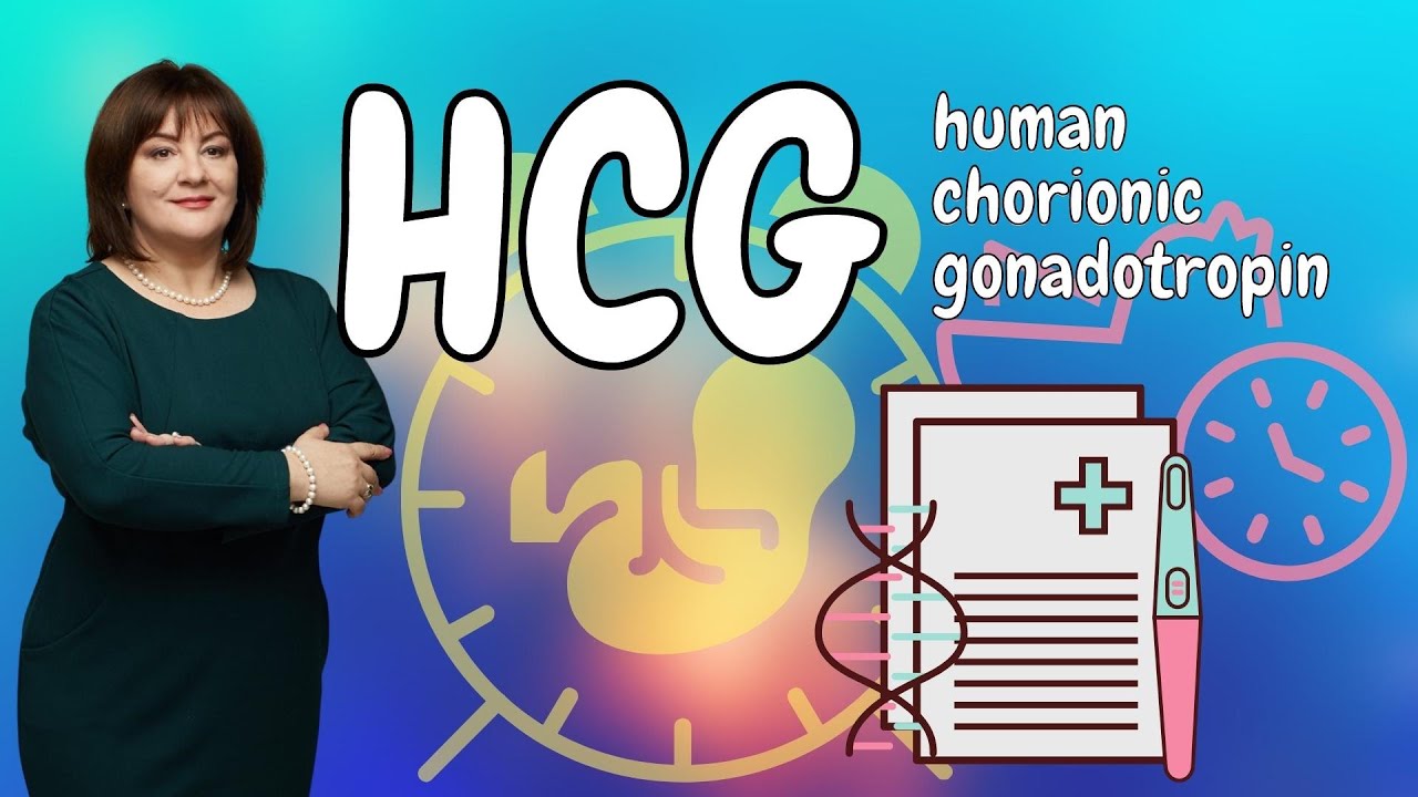 HCG: What is it and how does it work? @DrOlenaBerezovska # ...