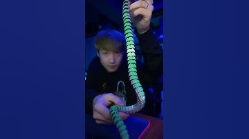 Rattlesnake - 3D printed