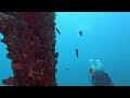 NOVA Maldives Wreck DIVE Box Fish GoPro