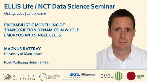 Probabilistic modelling of transcription dynamics in whole embryos and singel cells | Magnus Rattray