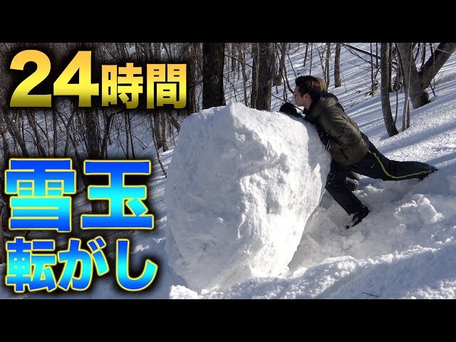 24 hours] Testing how big a snowball will grow if you keep rolling