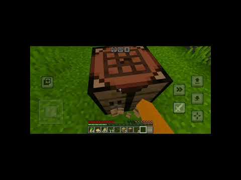 ماینکرفت اما روی رنگ زرد برم شماره مو لومیدم 