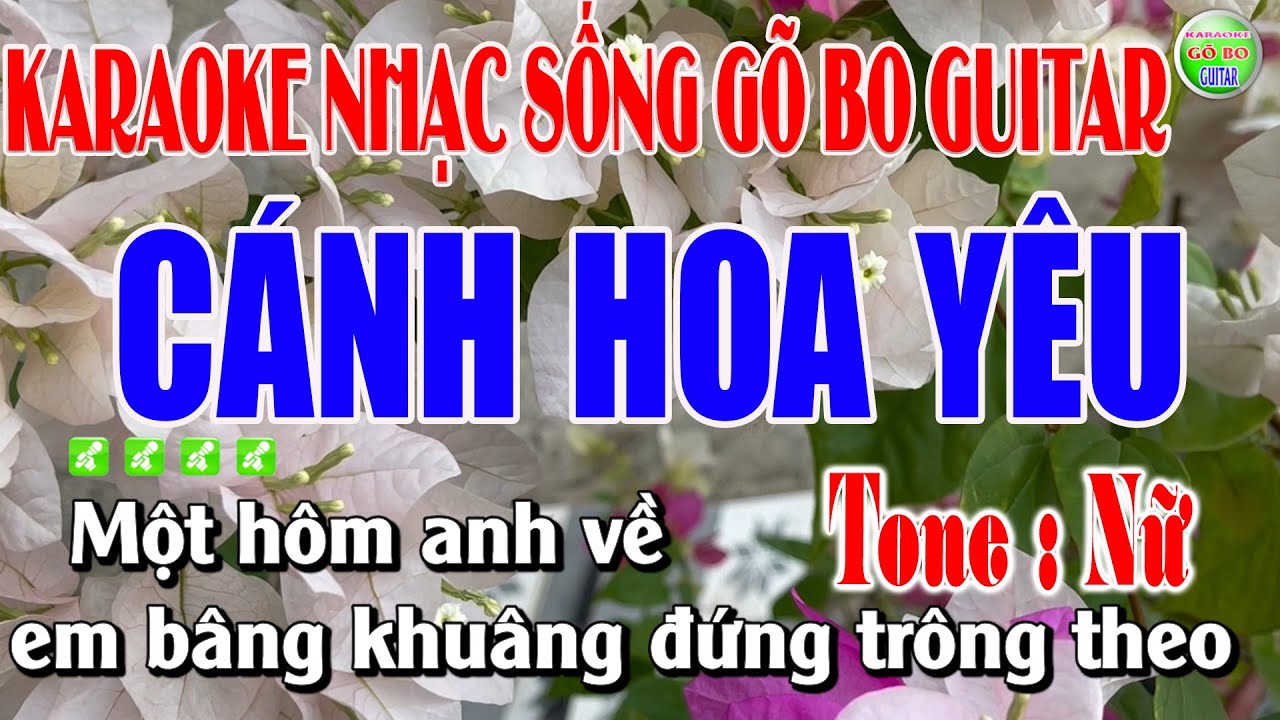 Karaoke Cánh Hoa Yêu Tone Nữ Nhạc Sống Guitar Gõ Bo Độc & Lạ Dễ Hát Karaoke Gõ Bo Guitar