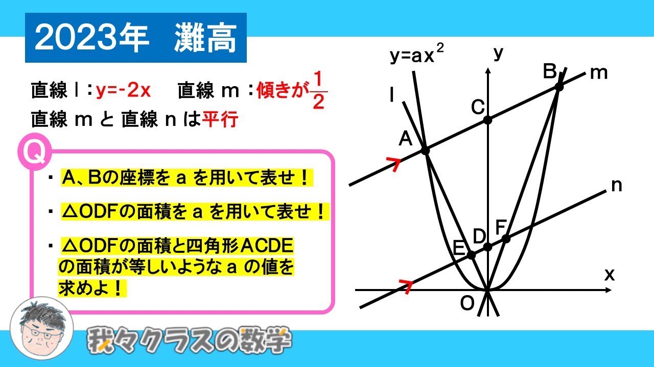 数量限定！！　灘高校　理系生物　オリジナル教材　高校全範囲 数量限定！！ 灘高校 理系生物 オリジナル教材 高校全範囲 2025