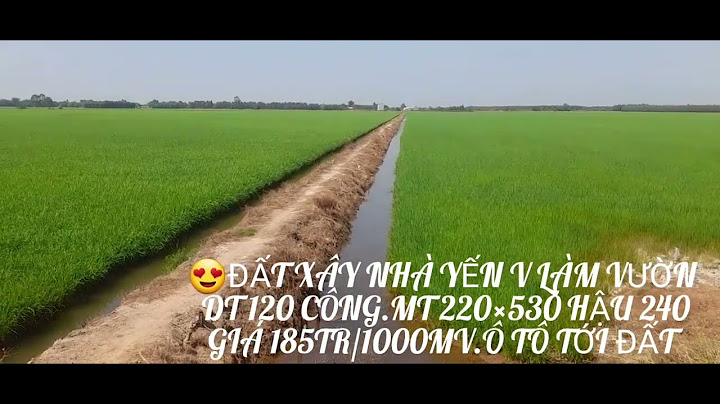 35 18 châu văn bảy p7 tan an long an năm 2024