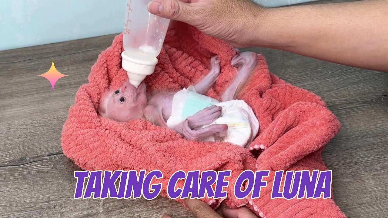 Sweet Moments of Daddy Taking Care of Luna and Giving Her Probiotics!!