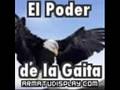 Tierra bendita - El Poder de la Gaita de Damaso Paz