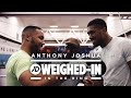 Anthony Joshua On The Pads Talks Potential Dillian Whyte Rematch and More - JD Weighed-In