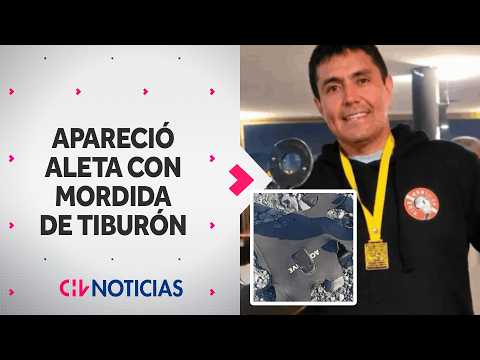 SEARCH CONTINUES for diver in Atacama: Fin found with possible shark bite - CHV Noticias